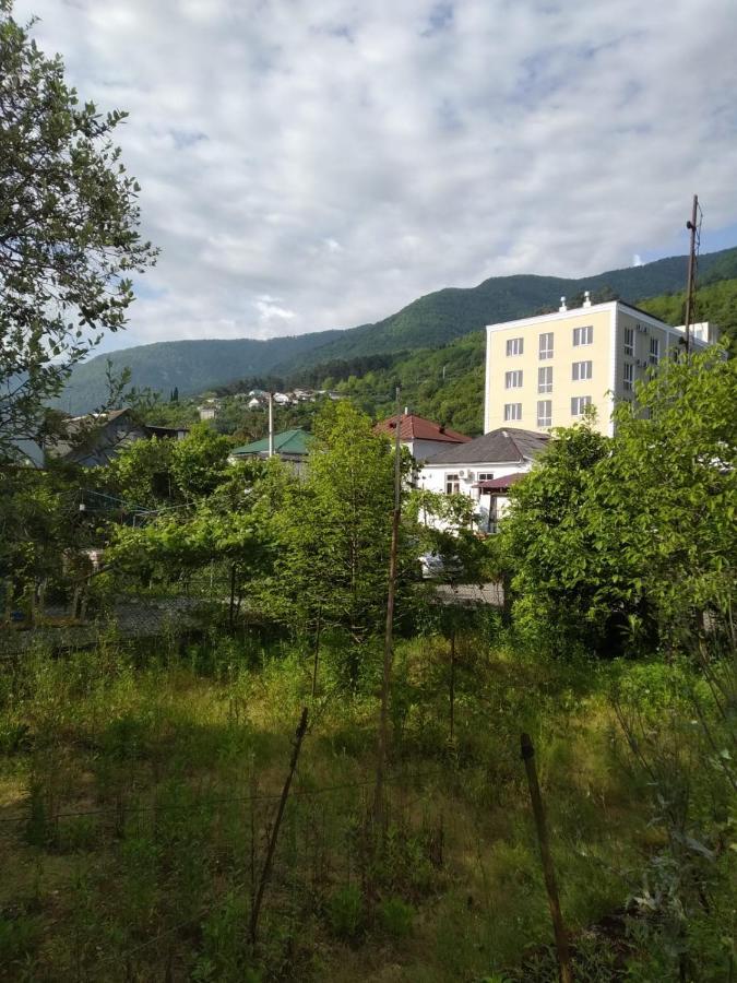 גגרה Na Shapsug Guest House מראה חיצוני תמונה