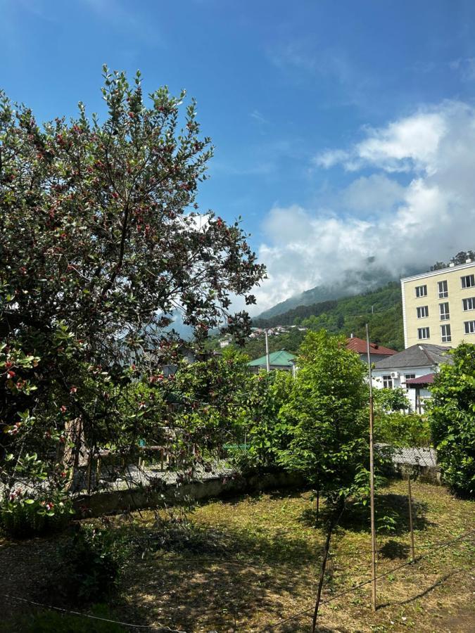 גגרה Na Shapsug Guest House מראה חיצוני תמונה